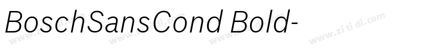 BoschSansCond Bold字体转换